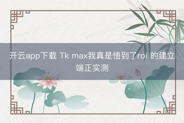 开云app下载 Tk max我真是悟到了roi 的建立端正实测