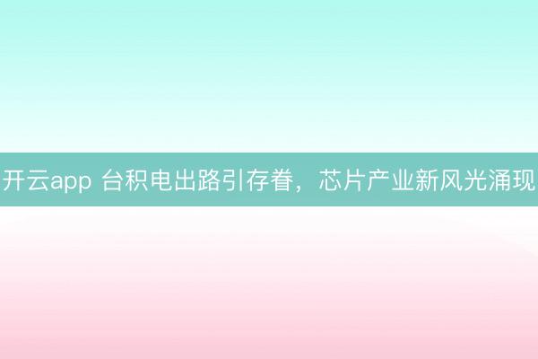 开云app 台积电出路引存眷，芯片产业新风光涌现