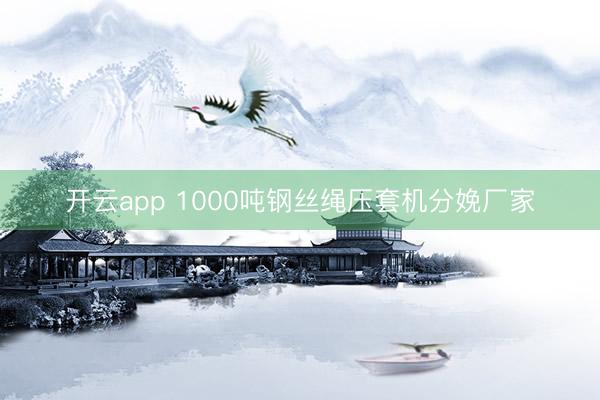 开云app 1000吨钢丝绳压套机分娩厂家