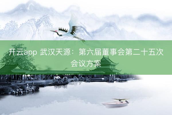 开云app 武汉天源：第六届董事会第二十五次会议方案