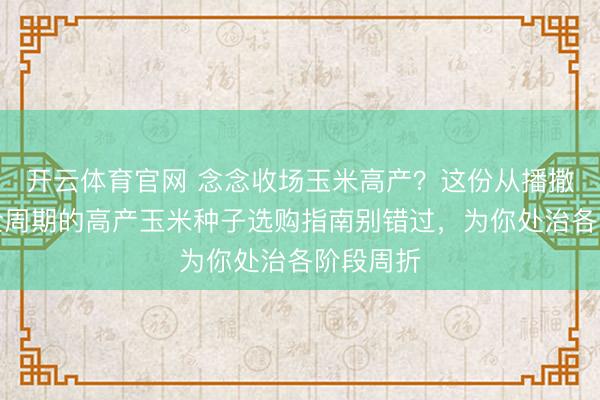 开云体育官网 念念收场玉米高产？这份从播撒到丰充全周期的高产玉米种子选购指南别错过，为你处治各阶段周折