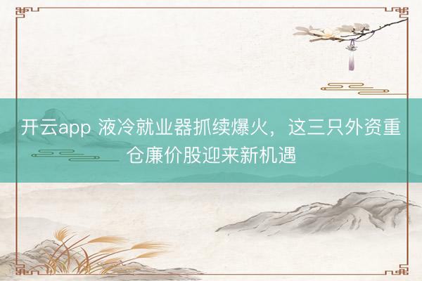 开云app 液冷就业器抓续爆火，这三只外资重仓廉价股迎来新机遇