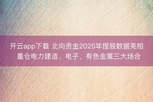 开云app下载 北向资金2025年捏股数据亮相 重仓电力建造、电子、有色金属三大场合