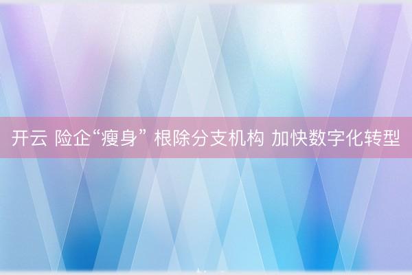 开云 险企“瘦身” 根除分支机构 加快数字化转型