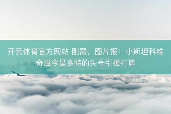 开云体育官方网站 刚需,图片报:小斯坦科维奇当今是多特的头号引援打算