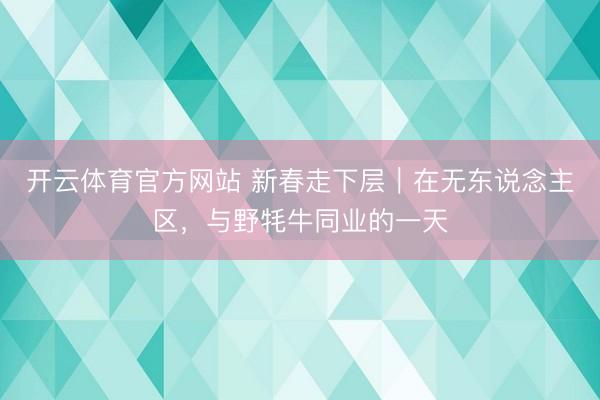 开云体育官方网站 新春走下层｜在无东说念主区，与野牦牛同业的一天