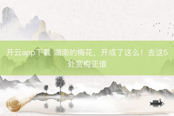 开云app下载 湖南的梅花，开成了这么！去这5处赏梅正值