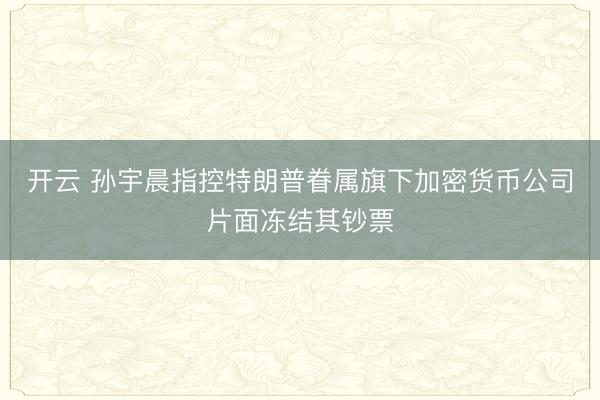 开云 孙宇晨指控特朗普眷属旗下加密货币公司片面冻结其钞票