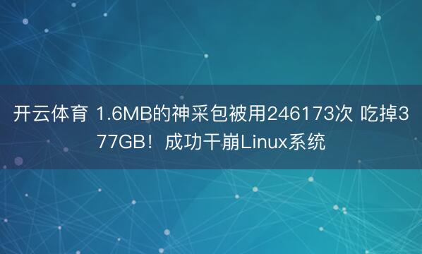 开云体育 1.6MB的神采包被用246173次 吃掉377GB！成功干崩Linux系统