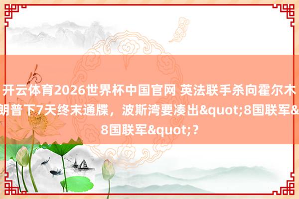 开云体育2026世界杯中国官网 英法联手杀向霍尔木兹！特朗普下7天终末通牒，波斯湾要凑出"8国联军"？