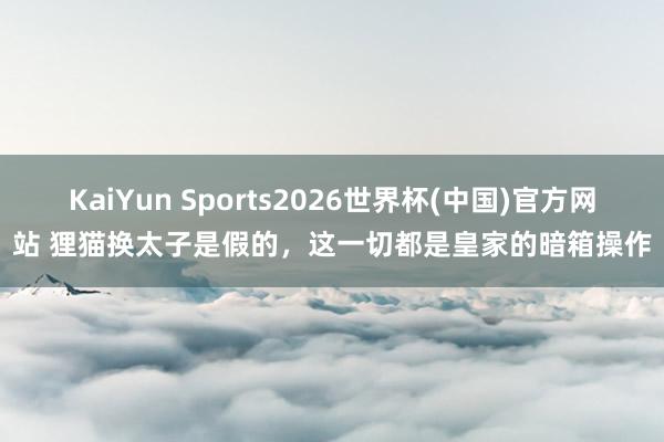 KaiYun Sports2026世界杯(中国)官方网站 狸猫换太子是假的，这一切都是皇家的暗箱操作