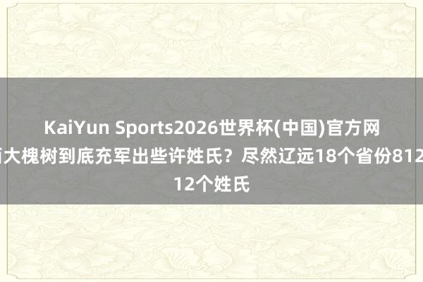 KaiYun Sports2026世界杯(中国)官方网站 山西大槐树到底充军出些许姓氏？尽然辽远18个省份812个姓氏