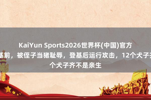 KaiYun Sports2026世界杯(中国)官方网站 没登基前，被侄子当猪耻辱，登基后运行攻击，12个犬子齐不是亲生