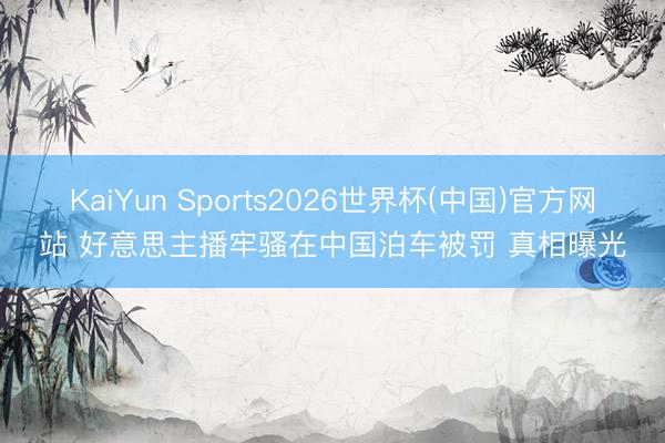 KaiYun Sports2026世界杯(中国)官方网站 好意思主播牢骚在中国泊车被罚 真相曝光