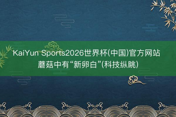 KaiYun Sports2026世界杯(中国)官方网站 蘑菇中有“新卵白”(科技纵眺)