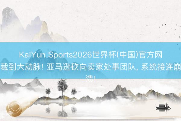 KaiYun Sports2026世界杯(中国)官方网站 裁到大动脉! 亚马逊砍向卖家处事团队， 系统接连崩溃!