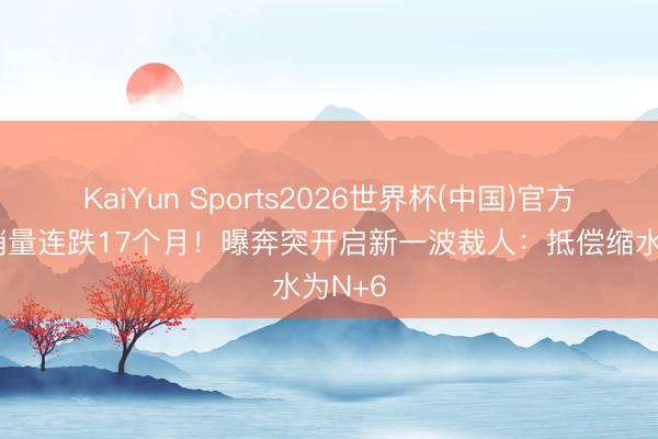 KaiYun Sports2026世界杯(中国)官方网站 销量连跌17个月！曝奔突开启新一波裁人：抵偿缩水为N+6