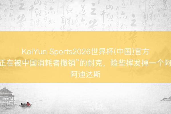 KaiYun Sports2026世界杯(中国)官方网站 “正在被中国消耗者撤销”的耐克，险些挥发掉一个阿迪达斯