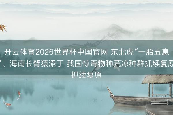 开云体育2026世界杯中国官网 东北虎“一胎五崽”、海南长臂猿添丁 我国惊奇物种荒凉种群抓续复原