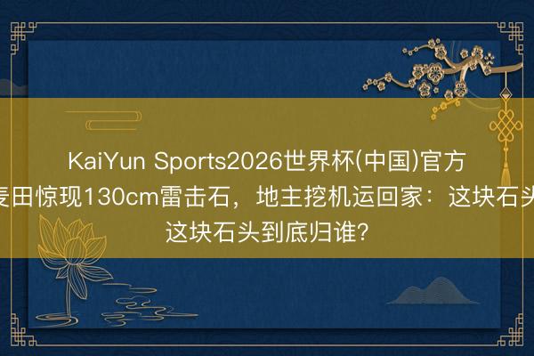 KaiYun Sports2026世界杯(中国)官方网站 河北麦田惊现130cm雷击石,地主挖机运回家:这块石头到底归谁?