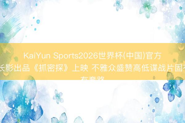 KaiYun Sports2026世界杯(中国)官方网站 长影出品《抓密探》上映 不雅众盛赞高低谍战片固有套路